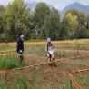 images/2020/10/gara/IMG-20201026-WA0009.jpg